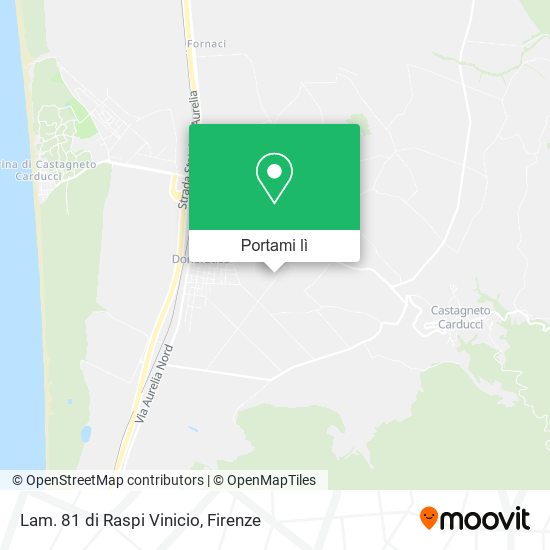 Mappa Lam. 81 di Raspi Vinicio