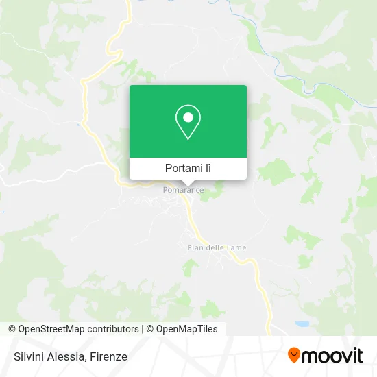 Mappa Silvini Alessia