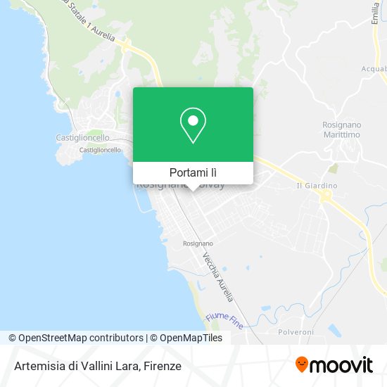Mappa Artemisia di Vallini Lara