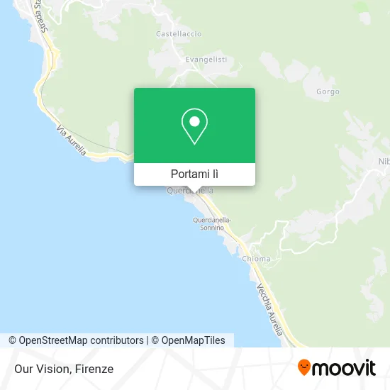Mappa Our Vision