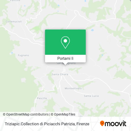 Mappa Triziapic.Collection di Piciacchi Patrizia