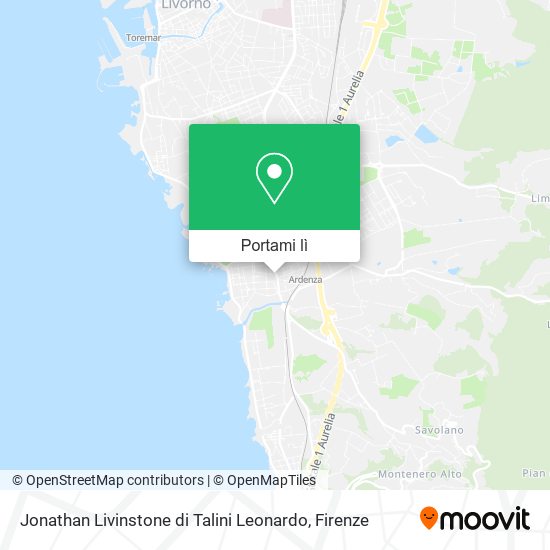 Mappa Jonathan Livinstone di Talini Leonardo