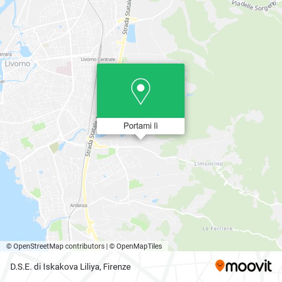 Mappa D.S.E. di Iskakova Liliya