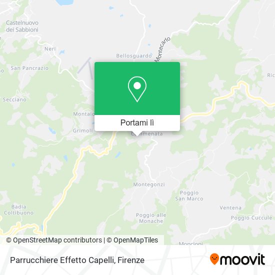Mappa Parrucchiere Effetto Capelli