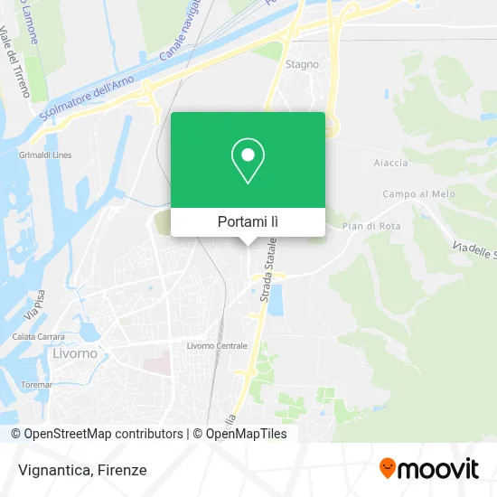 Mappa Vignantica
