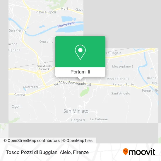 Mappa Tosco Pozzi di Buggiani Aleio