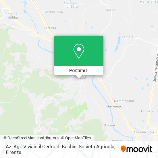 Mappa Az. Agr. Viviaio il Cedro di Bachini Società Agricola