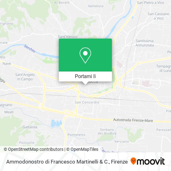 Mappa Ammodonostro di Francesco Martinelli & C.