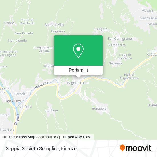 Mappa Seppia Societa Semplice