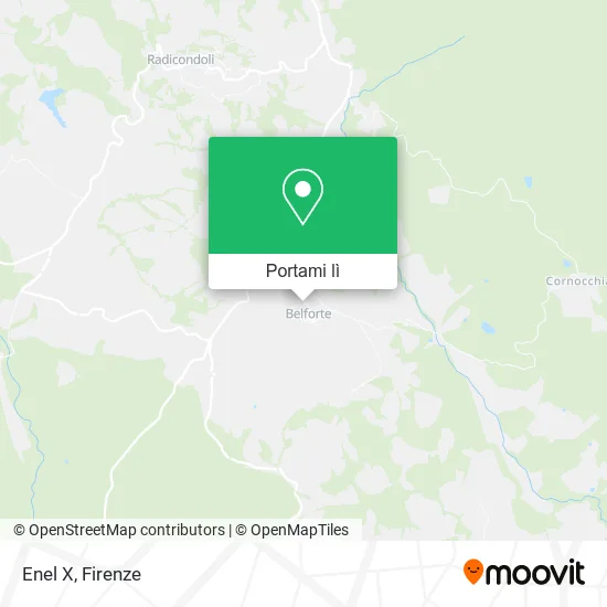 Mappa Enel X