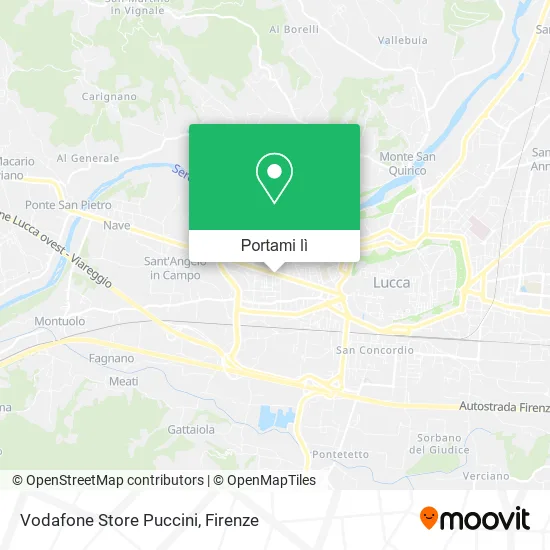 Mappa Vodafone Store Puccini