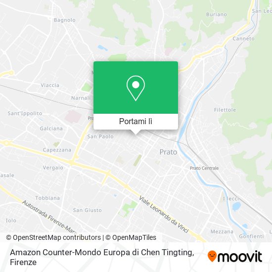 Mappa Amazon Counter-Mondo Europa di Chen Tingting