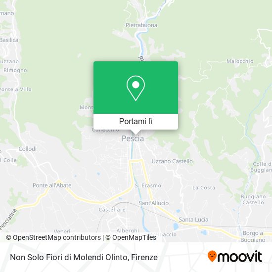 Mappa Non Solo Fiori di Molendi Olinto