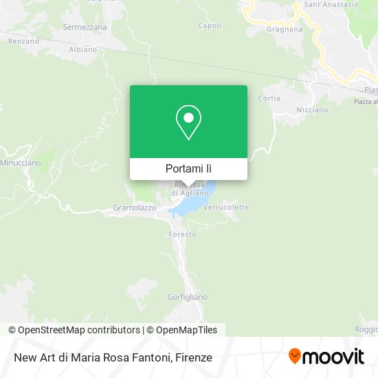 Mappa New Art di Maria Rosa Fantoni