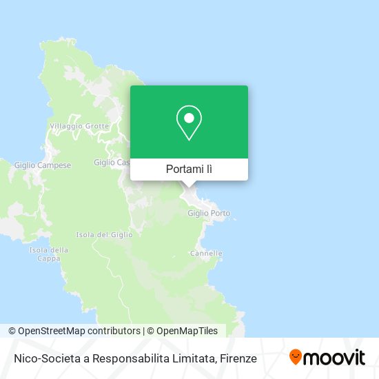 Mappa Nico-Societa a Responsabilita Limitata