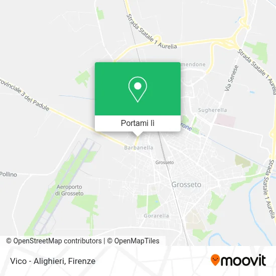 Mappa Vico - Alighieri