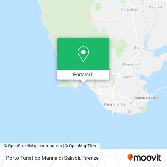 Mappa Porto Turistico Marina di Salivoli