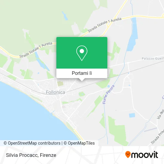 Mappa Silvia Procacc