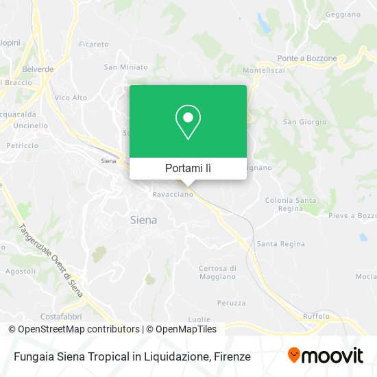 Mappa Fungaia Siena Tropical in Liquidazione