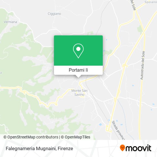Mappa Falegnameria Mugnaini