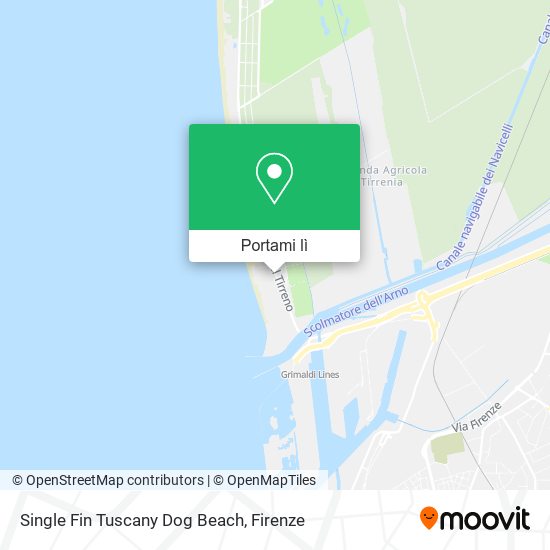Mappa Single Fin Tuscany Dog Beach