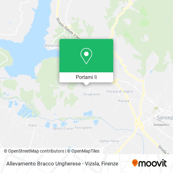 Mappa Allevamento Bracco Ungherese - Vizsla