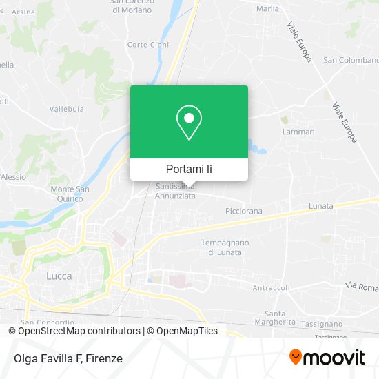 Mappa Olga Favilla F