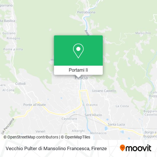 Mappa Vecchio Pulter di Mansolino Francesca