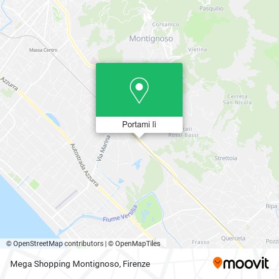 Mappa Mega Shopping Montignoso