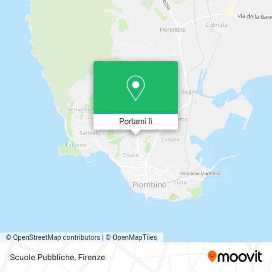 Mappa Scuole Pubbliche