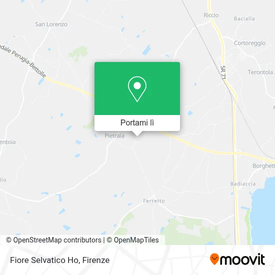 Mappa Fiore Selvatico Ho