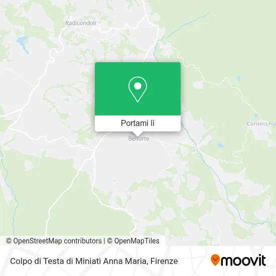 Mappa Colpo di Testa di Miniati Anna Maria