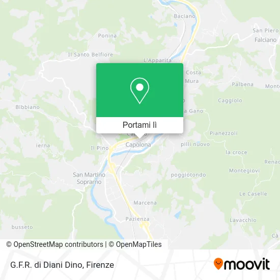 Mappa G.F.R. di Diani Dino