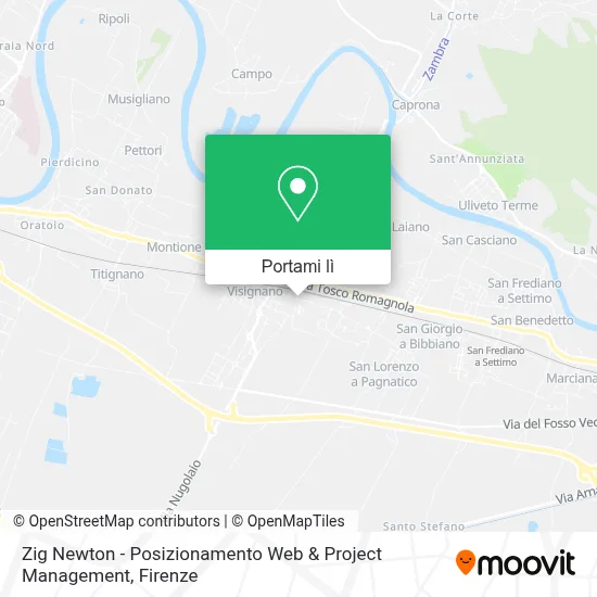 Mappa Zig Newton - Posizionamento Web & Project Management