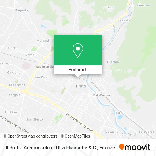Mappa Il Brutto Anatroccolo di Ulivi Elisabetta & C.