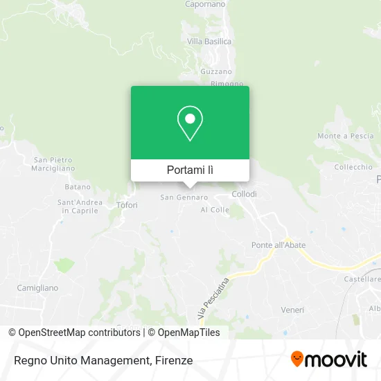 Mappa Regno Unito Management