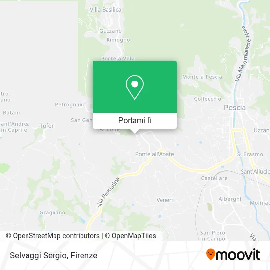 Mappa Selvaggi Sergio