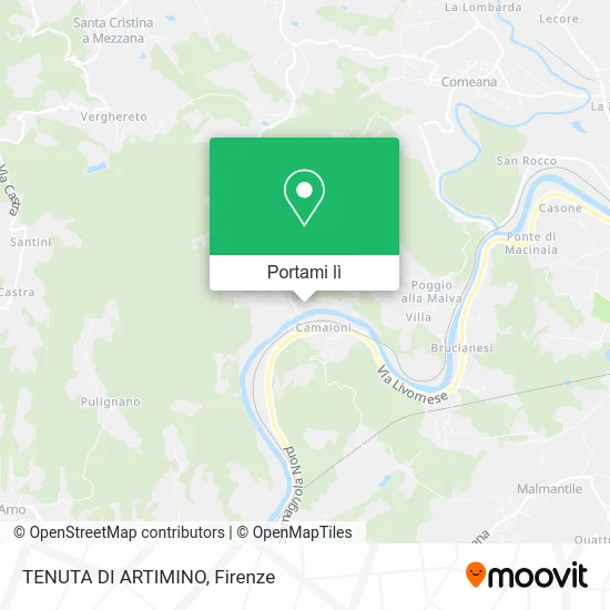 Mappa TENUTA DI ARTIMINO