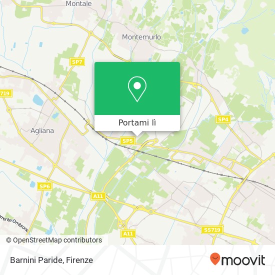 Mappa Barnini Paride, Via 4 Novembre 59013 Montemurlo