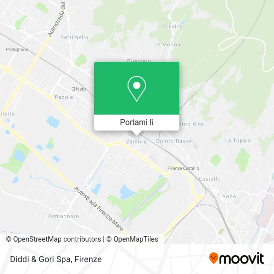 Mappa Diddi & Gori Spa