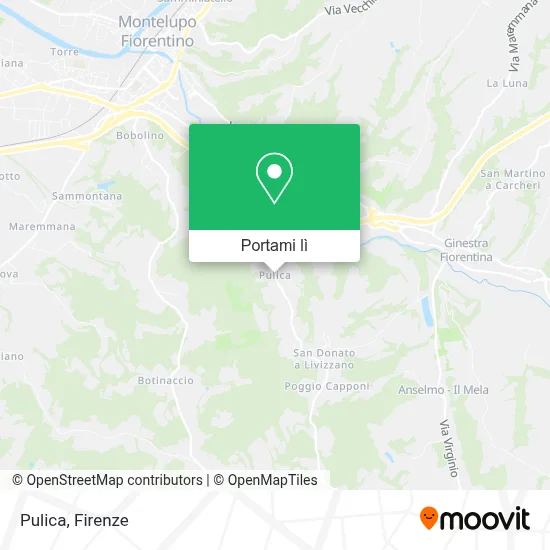 Mappa Pulica