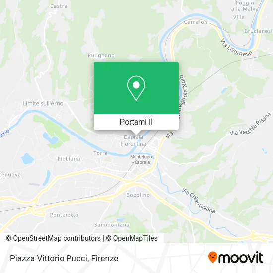 Mappa Piazza Vittorio Pucci