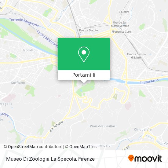 Mappa Museo Di Zoologia La Specola