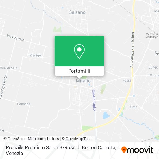 Mappa Pronails Premium Salon B / Rose di Berton Carlotta