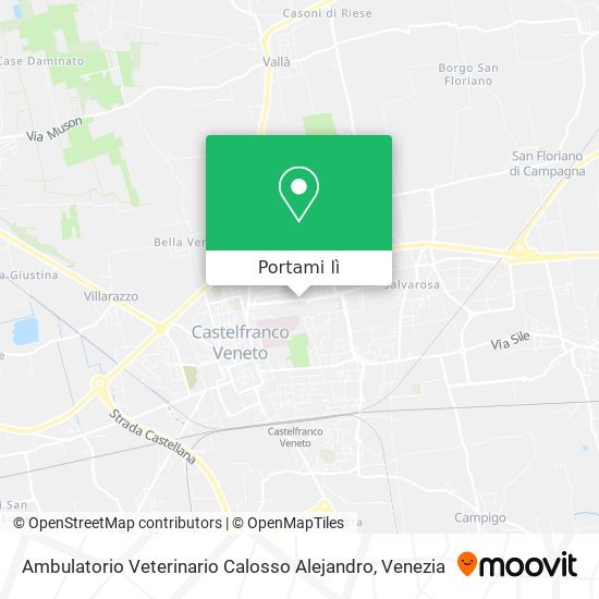 Mappa Ambulatorio Veterinario Calosso Alejandro