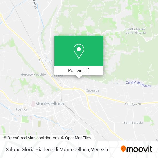 Mappa Salone Gloria Biadene di Montebelluna