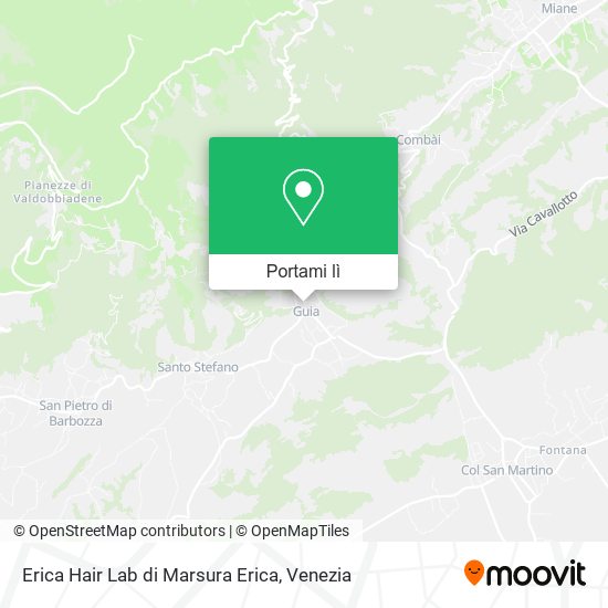 Mappa Erica Hair Lab di Marsura Erica