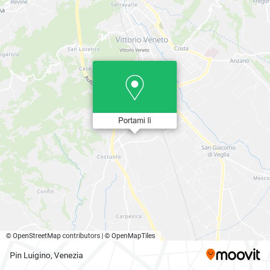 Mappa Pin Luigino