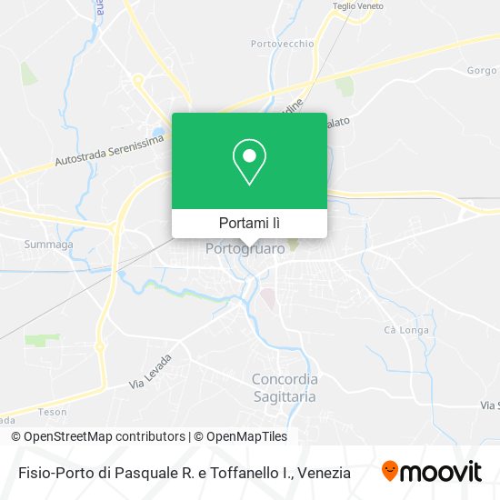 Mappa Fisio-Porto di Pasquale R. e Toffanello I.