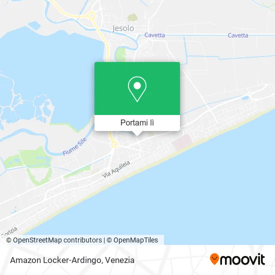 Mappa Amazon Locker-Ardingo